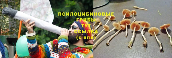 СК Беломорск