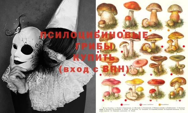 меф VHQ Белокуриха